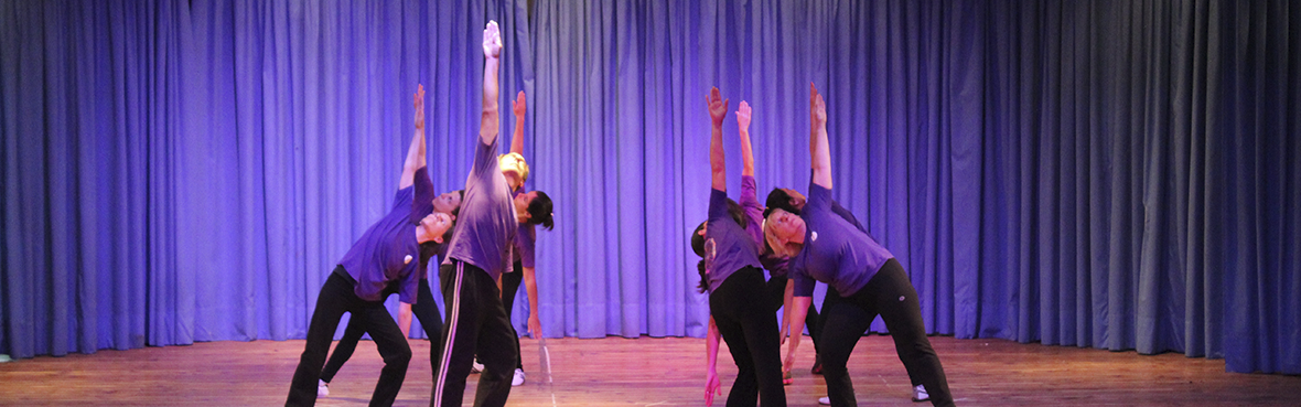 Gimnasia Bothmer®